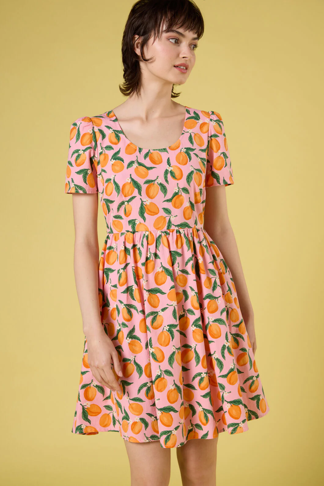 Apricots Short Sleeve Dress - Image 4