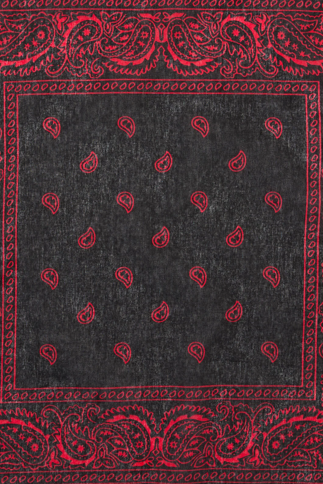 Border Cotton Bandana - Image 6