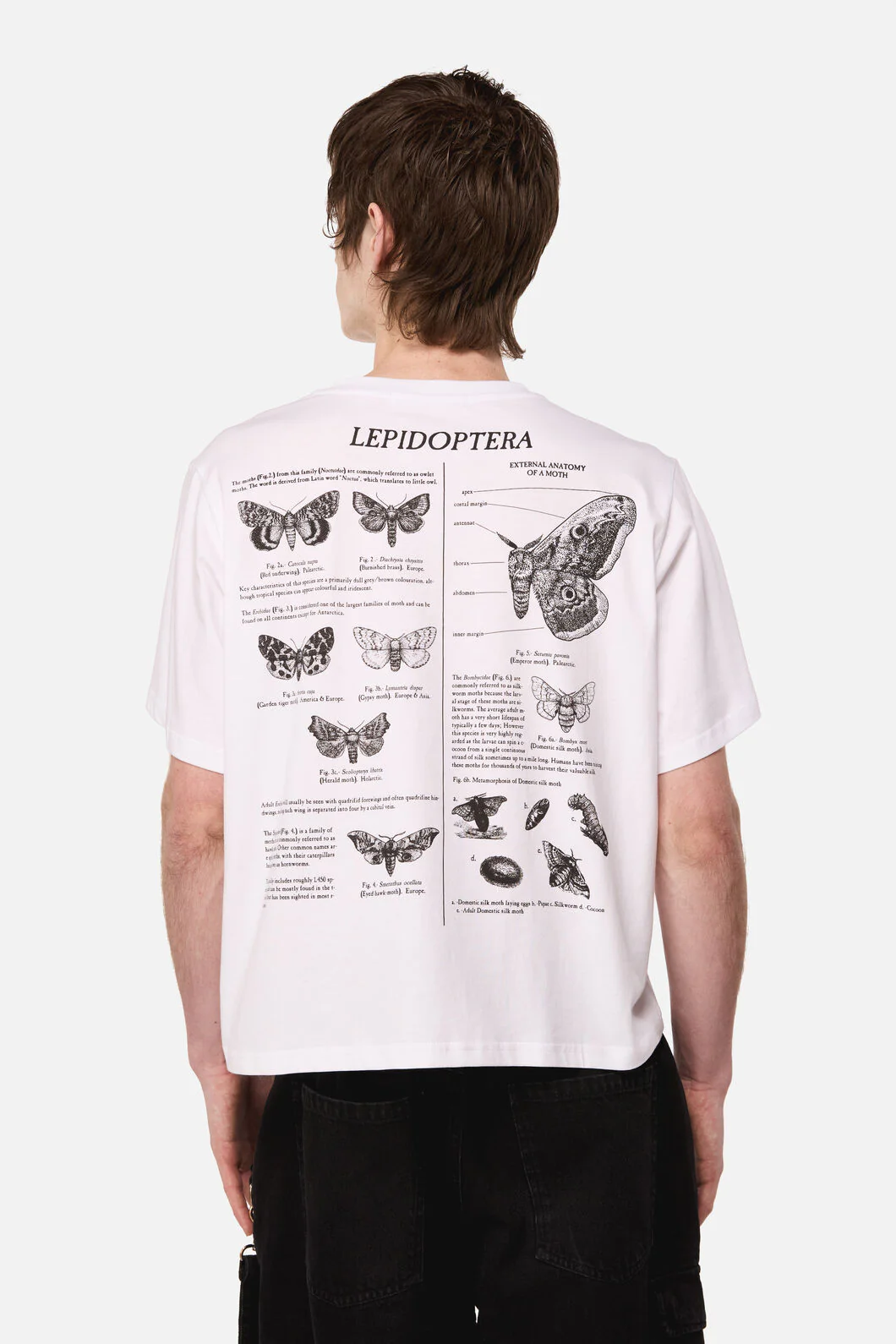 Butterfly Scientific Tee - Image 5