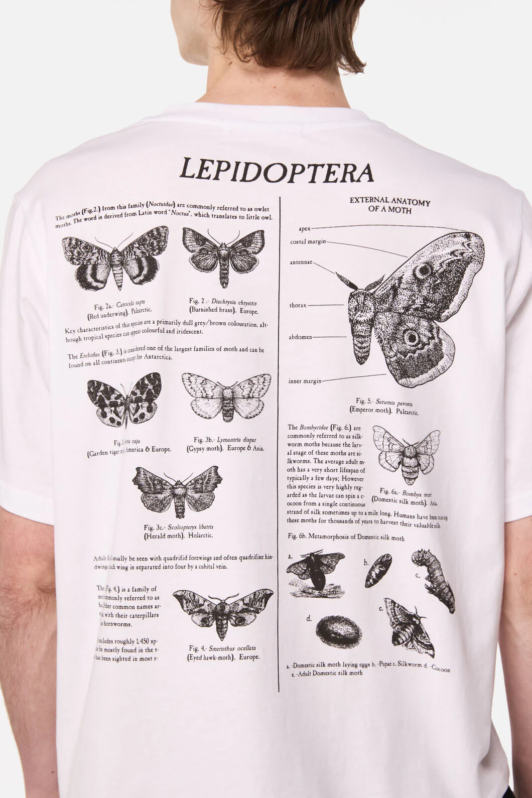 Butterfly Scientific Tee - Image 7