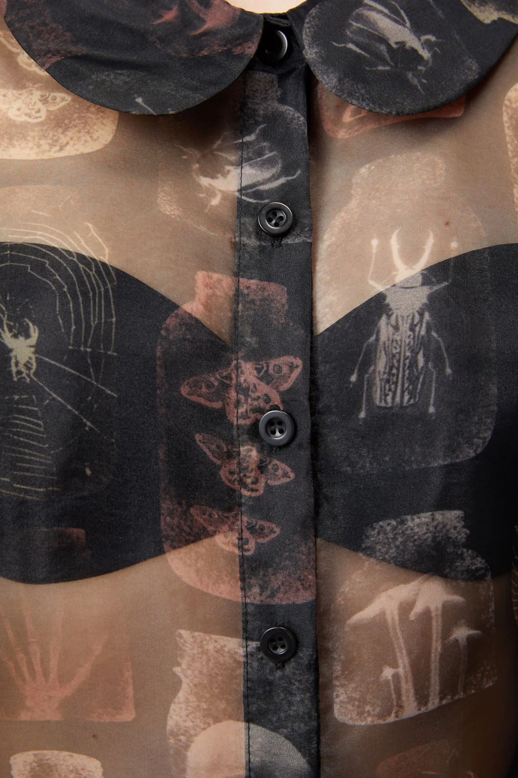 Collections Blouse - Image 6
