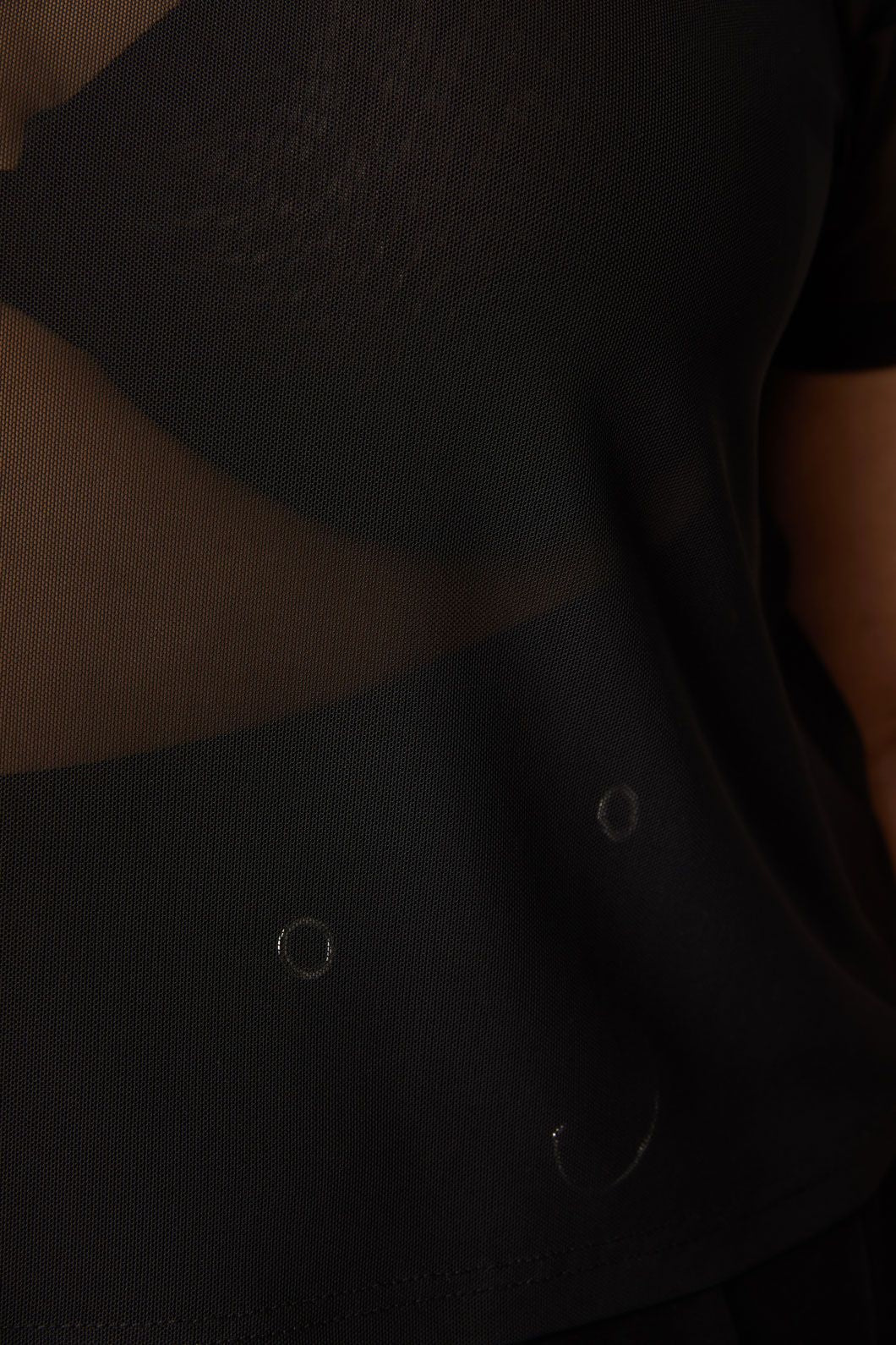 Curve Entity Mesh Top - Image 5