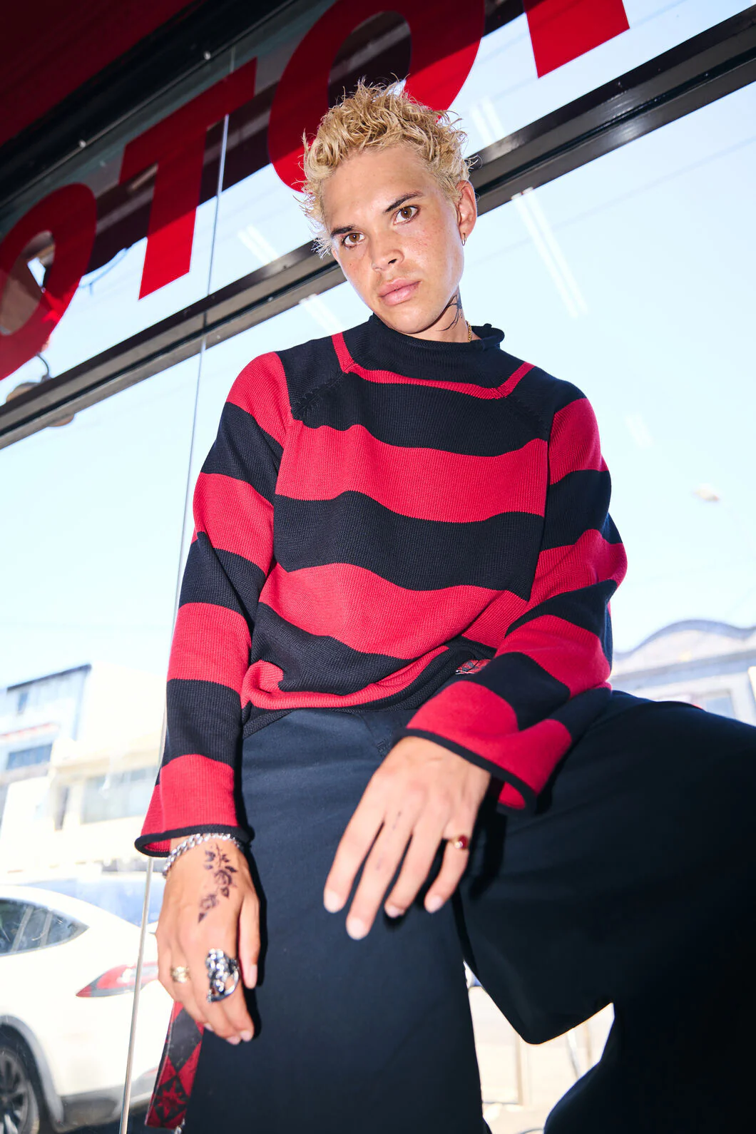 Jackalope Stripe Knit - Image 4
