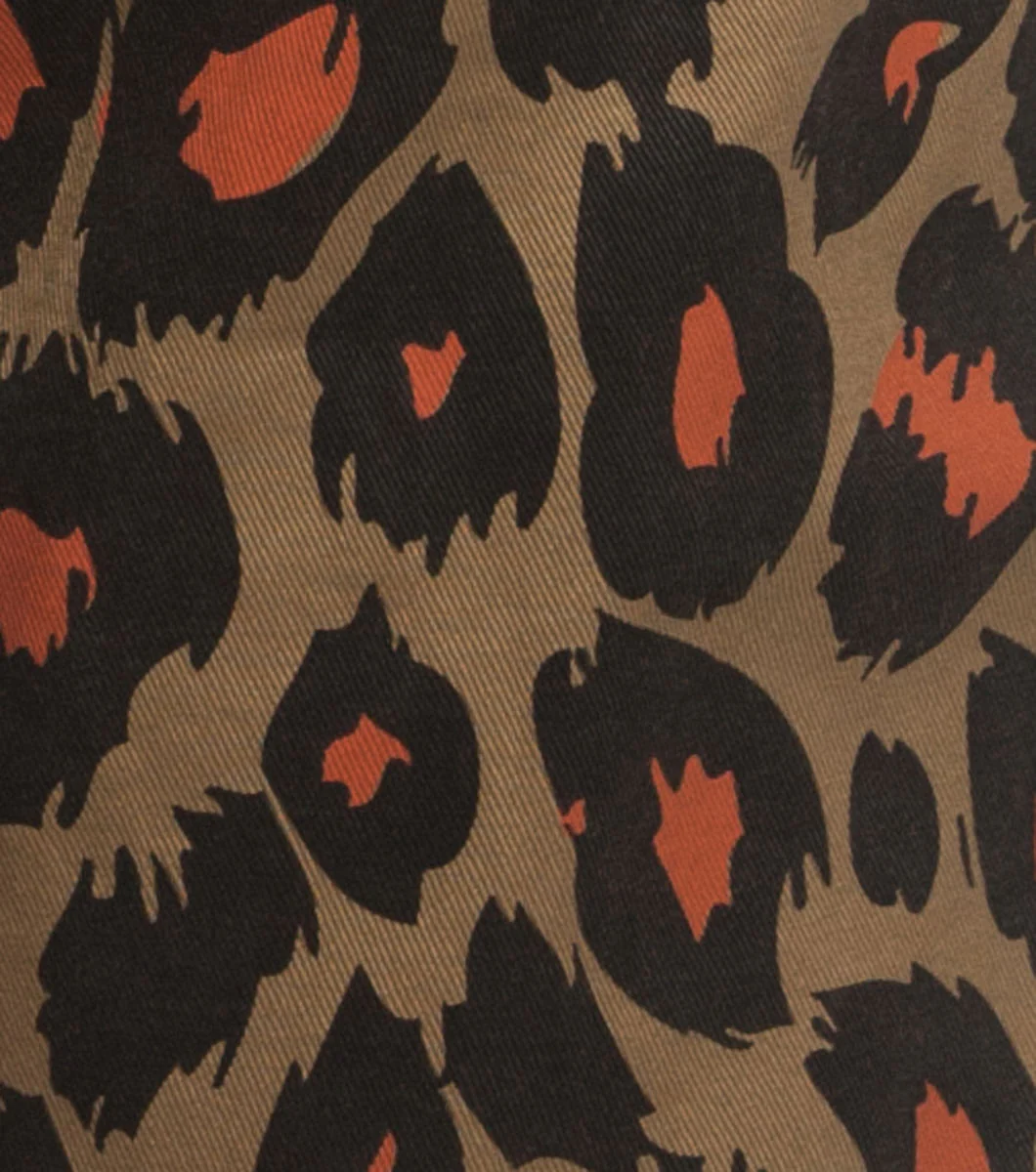 JB Cheetah Shorts - Image 7