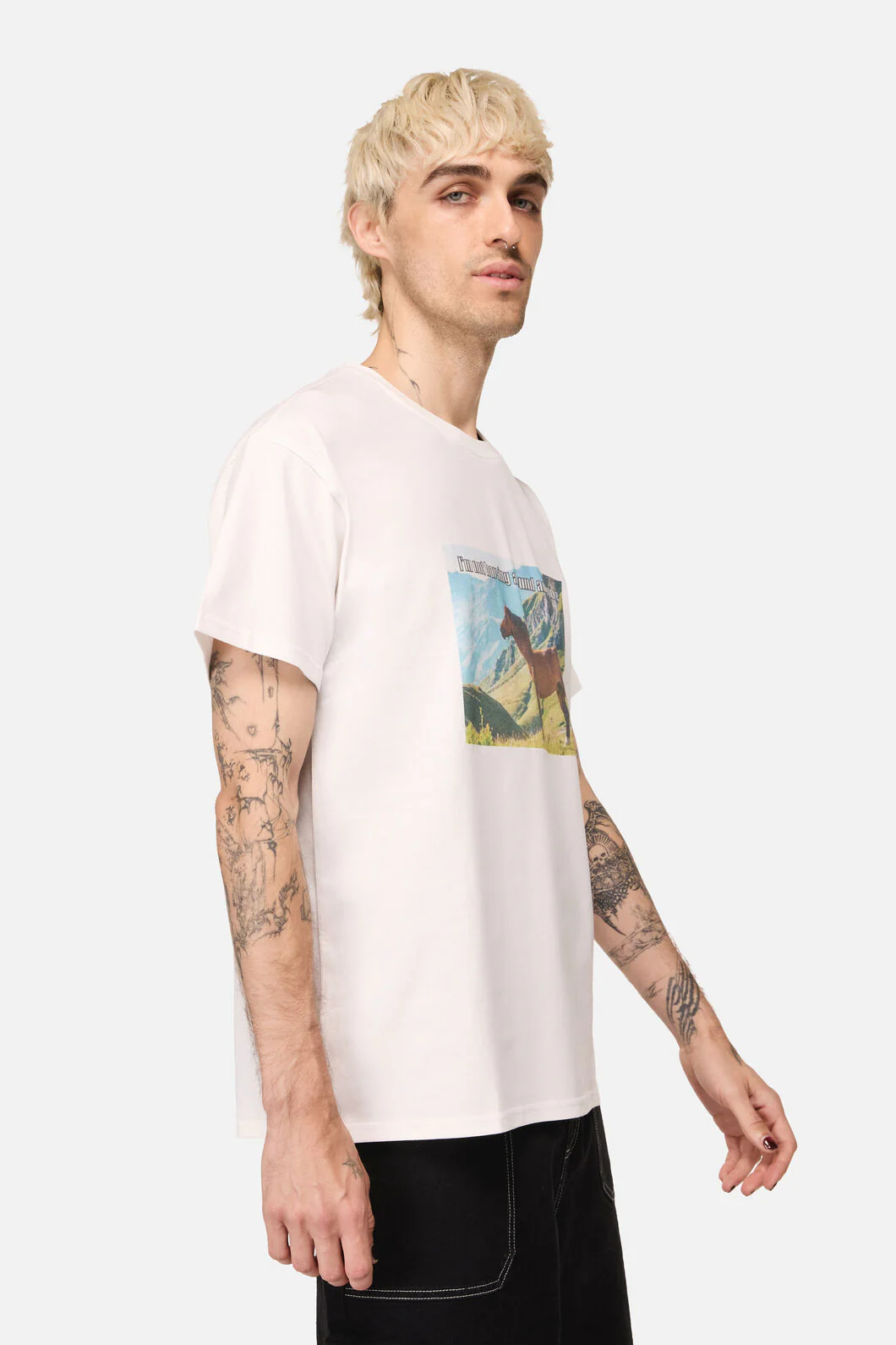 Not Horsing Around Tee - Image 2