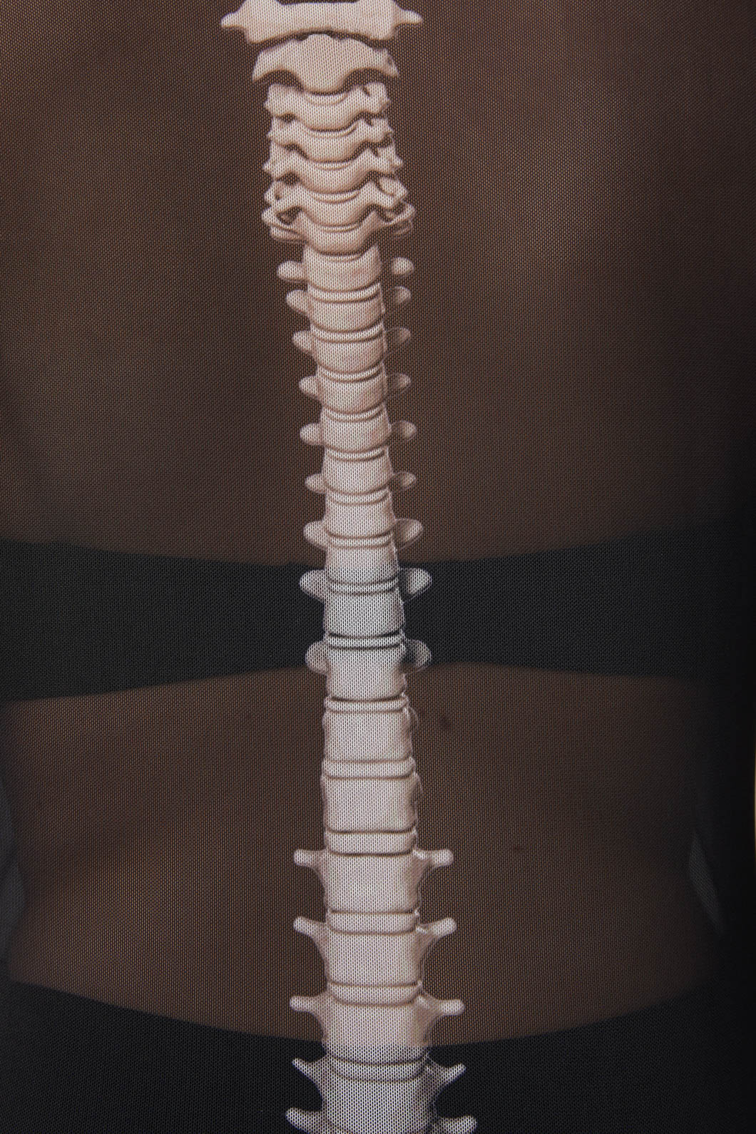 Spine Mesh Top - Image 6