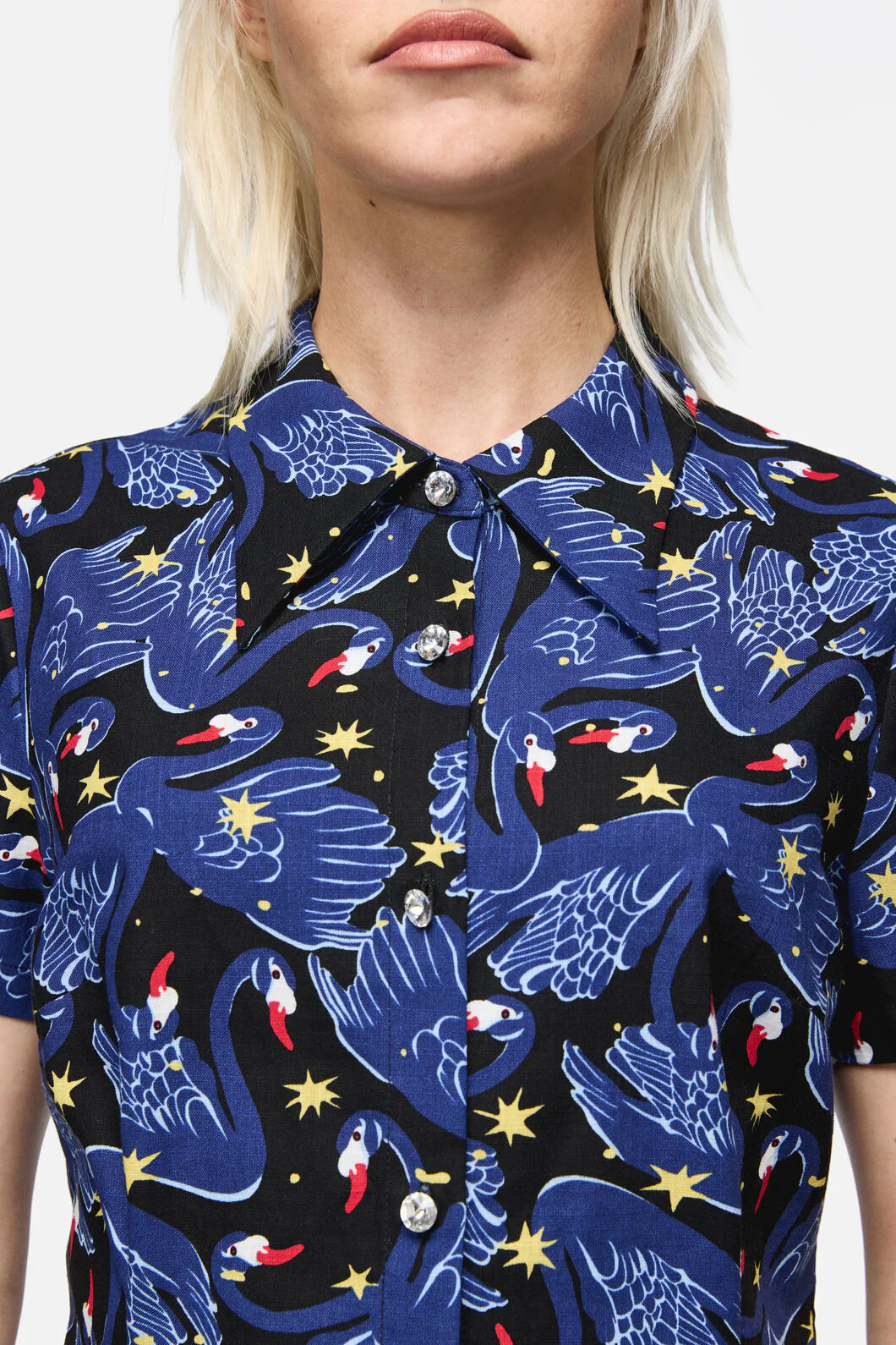 Swan Song Goth Blouse - Image 4