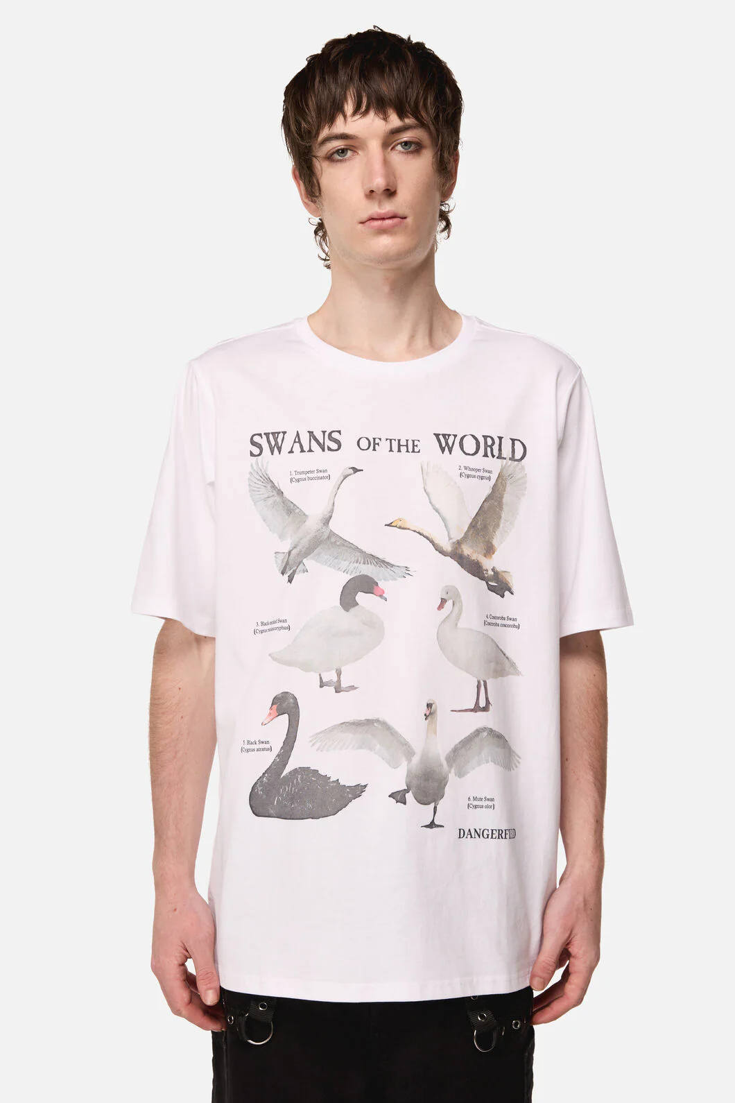 Swan Species Tee