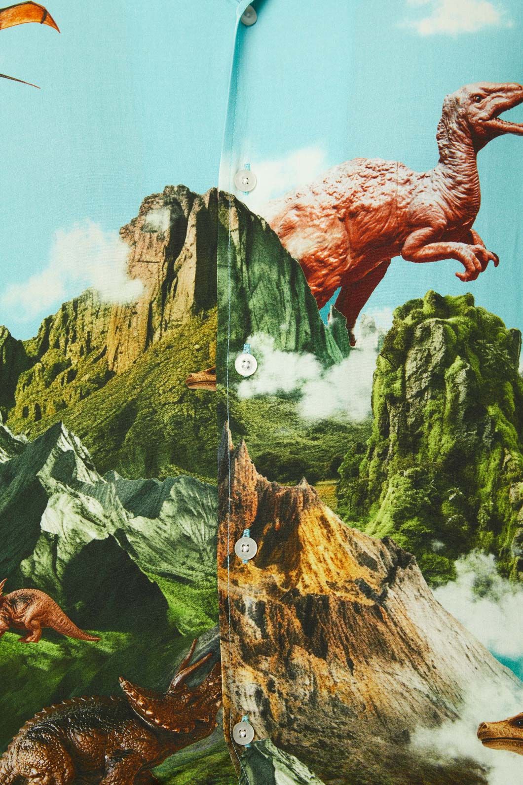 Triassic Border Shirt - Image 5