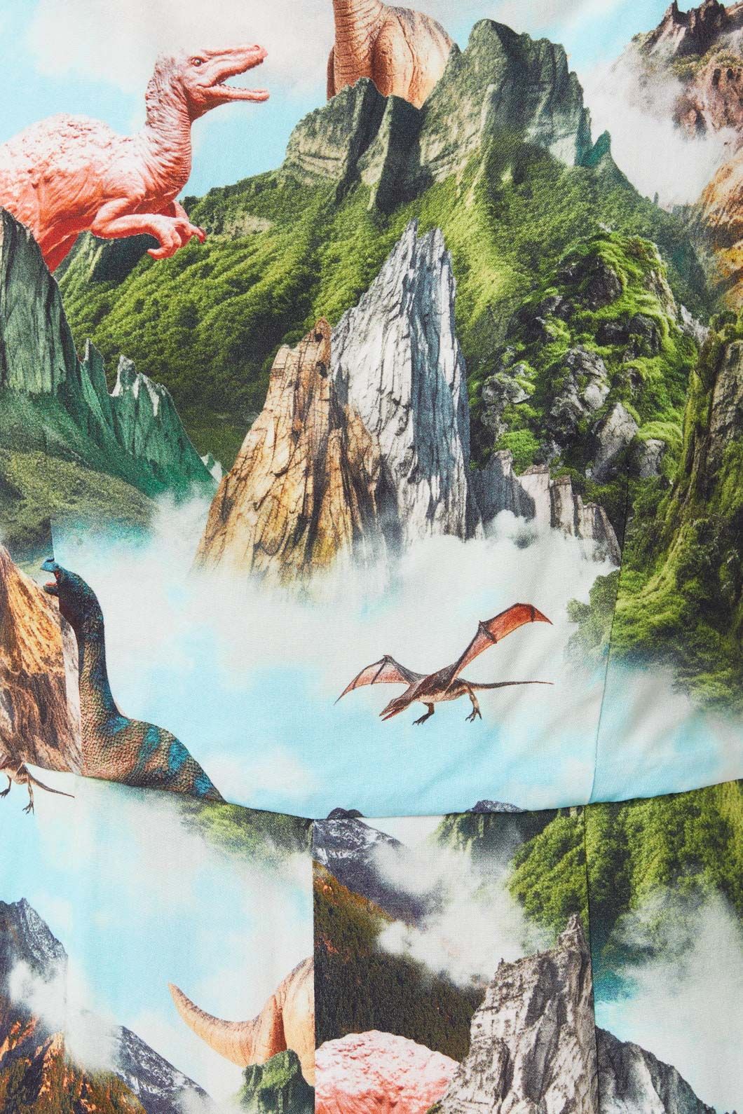 Triassic Scene Printed Jumpsuit - Image 5